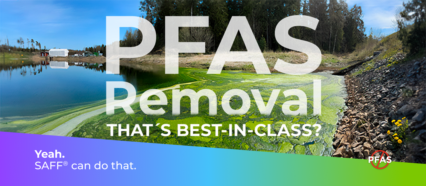 SAFF-Header1 SAFF-Header1